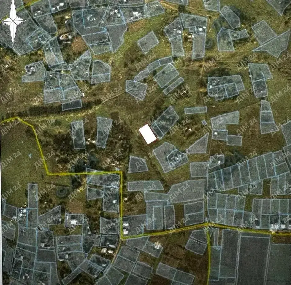 Земельна ділянка в Гожулах з власним джерелом 